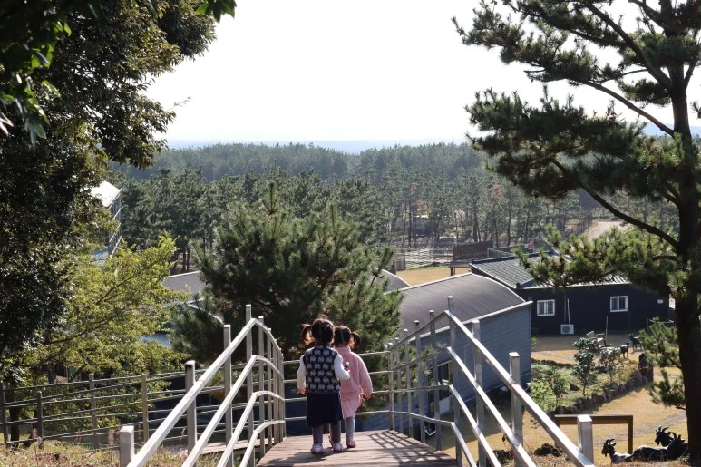 IMG_4259.JPG?type=w773