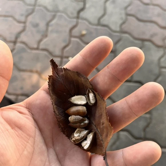 IMG_4875.jpg?type=w580