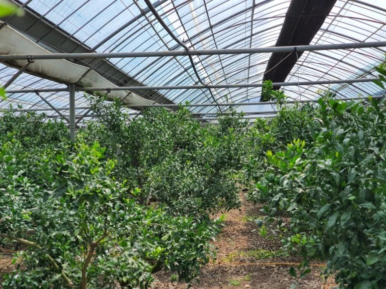 1591692655391.jpg?type=w773