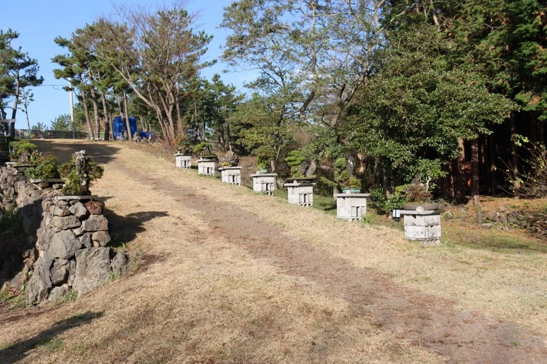 IMG_4225.JPG?type=w773