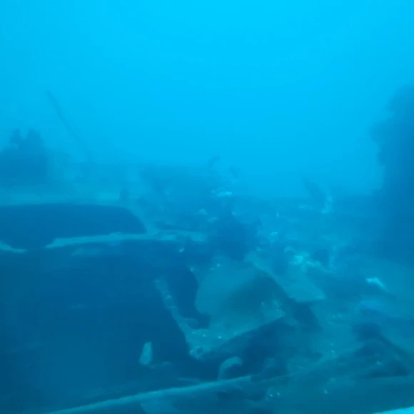 20221118%EF%BC%BF152804.jpg?type=w580