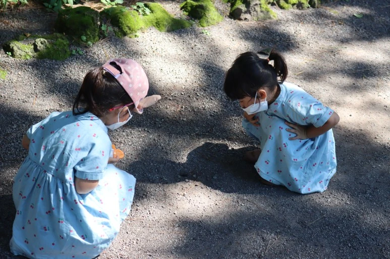 IMG_3585.JPG?type=w773