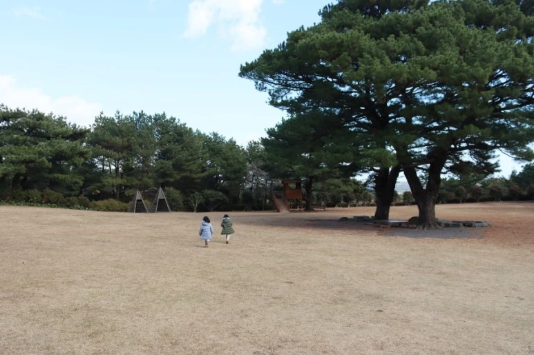 20211219135915%EF%BC%BFIMG%EF%BC%BF6027.JPG?type=w773