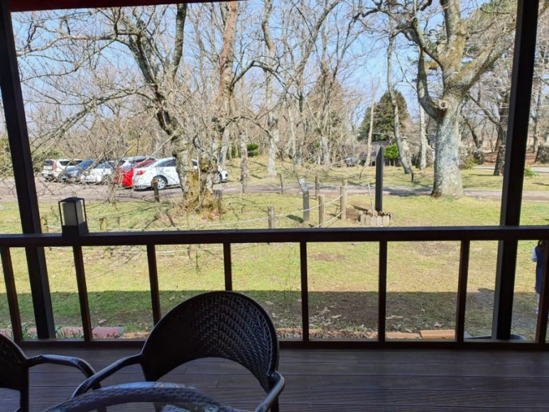 20210314%EF%BC%BF112936.jpg?type=w773