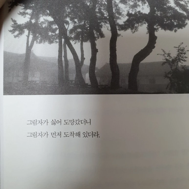 SE-920096e6-4c66-11ec-8f94-df09cfb6abff.jpg?type=w773