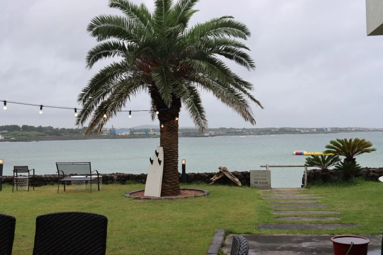 IMG_3150.JPG?type=w773