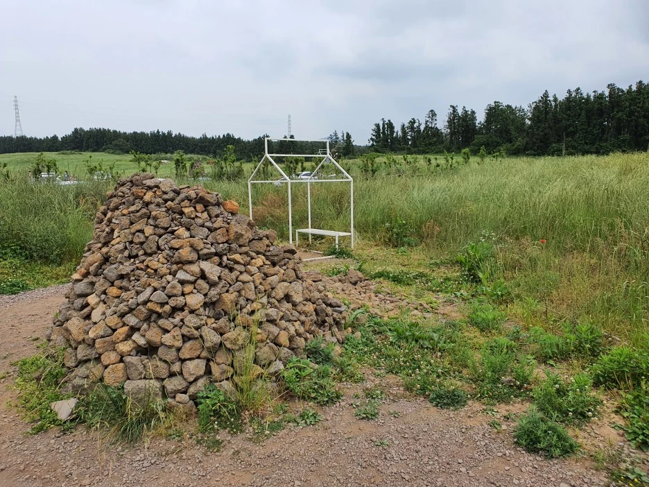 20200606_123837.jpg?type=w1