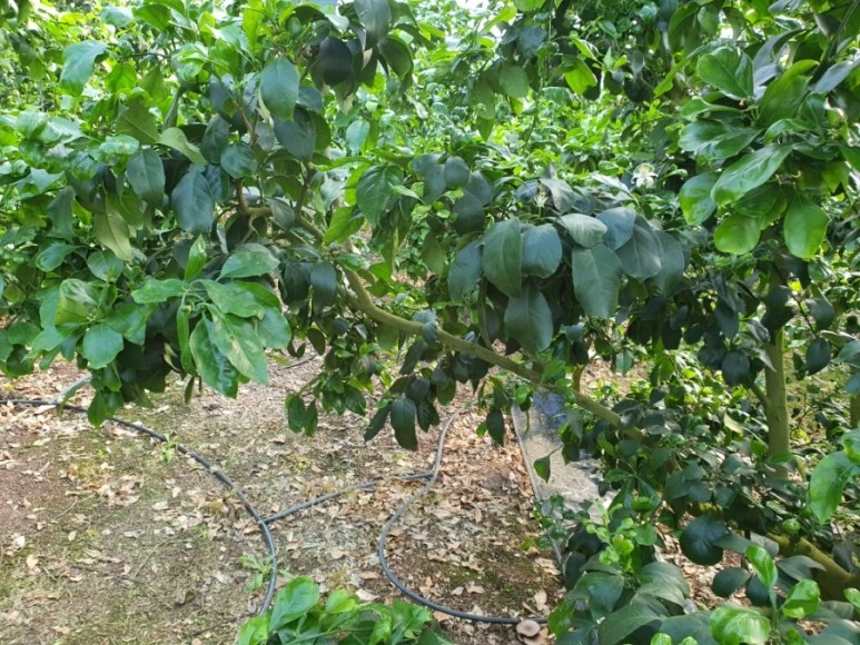 20210305%EF%BC%BF092107.jpg?type=w773