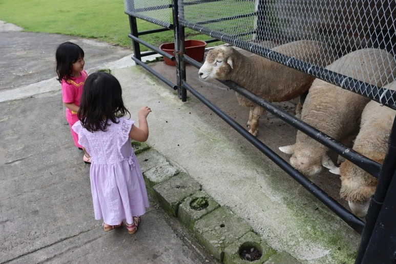 IMG_2282.JPG?type=w773