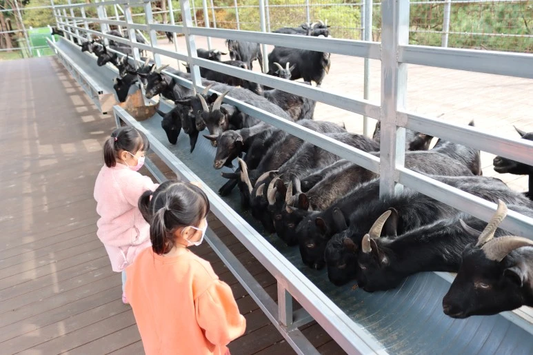 IMG_4303.JPG?type=w773