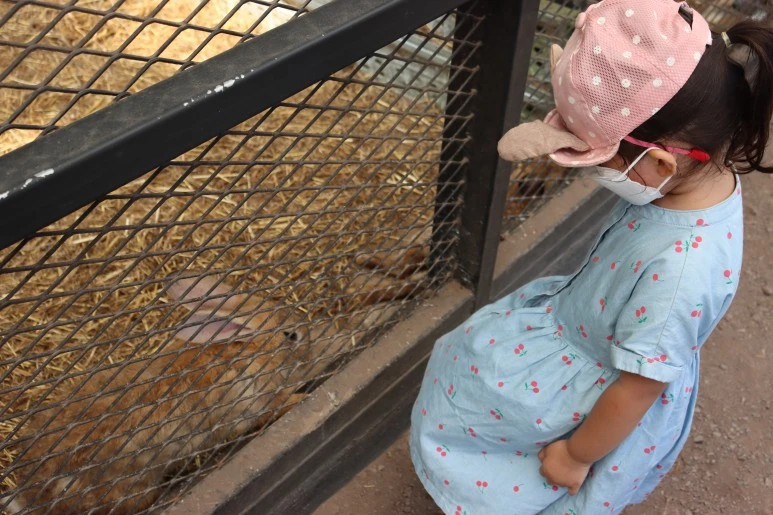 IMG_3600.JPG?type=w773