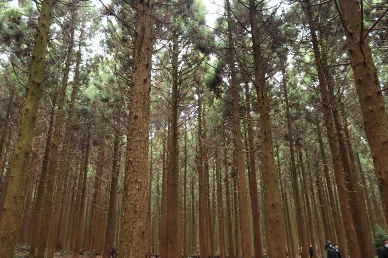 20211116125253%EF%BC%BFIMG%EF%BC%BF5752.JPG?type=w773