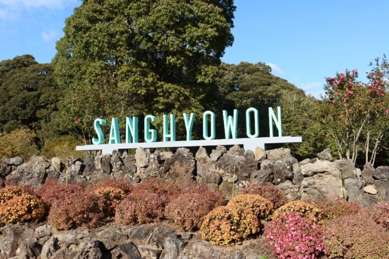 20211219143347%EF%BC%BFIMG%EF%BC%BF6073.JPG?type=w773