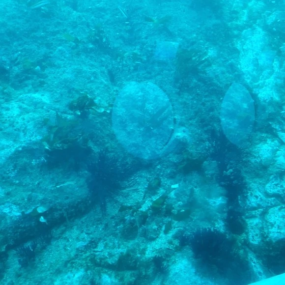 20221118%EF%BC%BF151114.jpg?type=w580