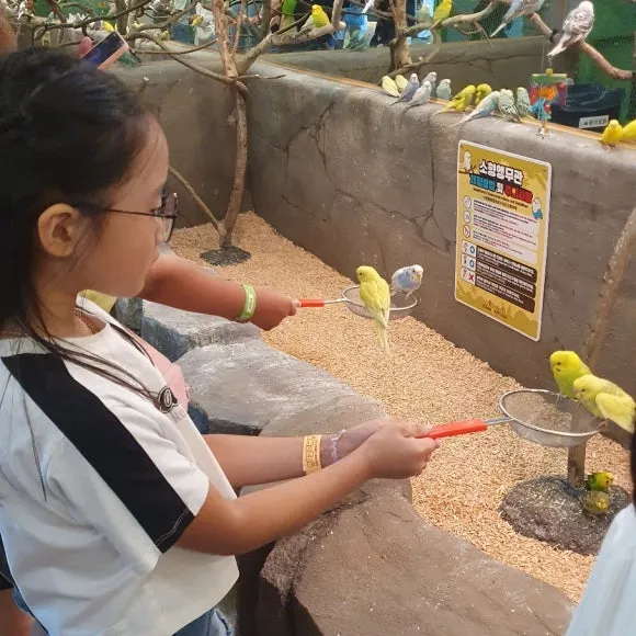 SE-8e034547-727a-4b39-929e-f406c2b06a72.jpg?type=w580