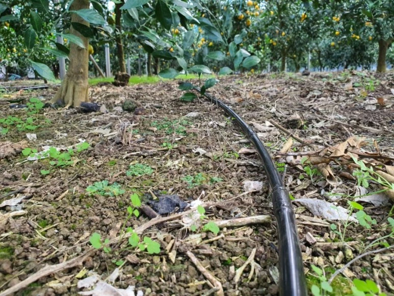 20201120%EF%BC%BF092342.jpg?type=w773