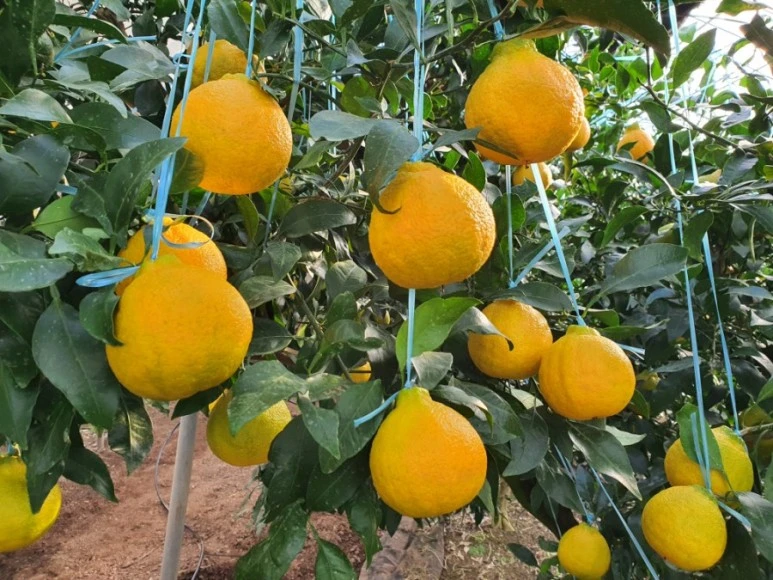 20201120%EF%BC%BF090931.jpg?type=w773