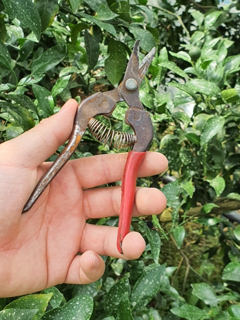 1591692656739.jpg?type=w773