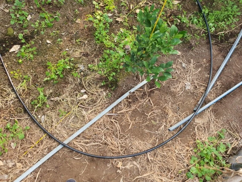 20201120%EF%BC%BF091533.jpg?type=w773