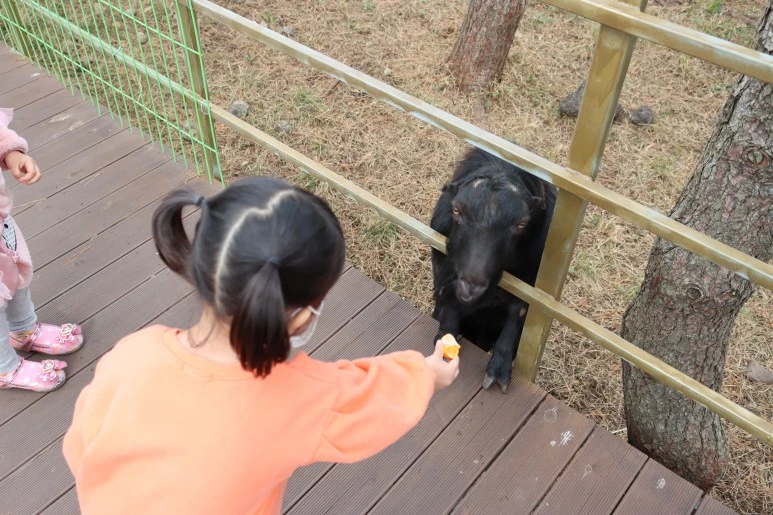 IMG_4287.JPG?type=w773