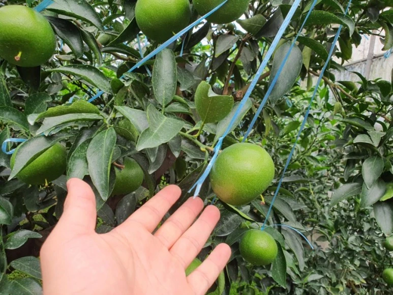 1600923188674.jpg?type=w773