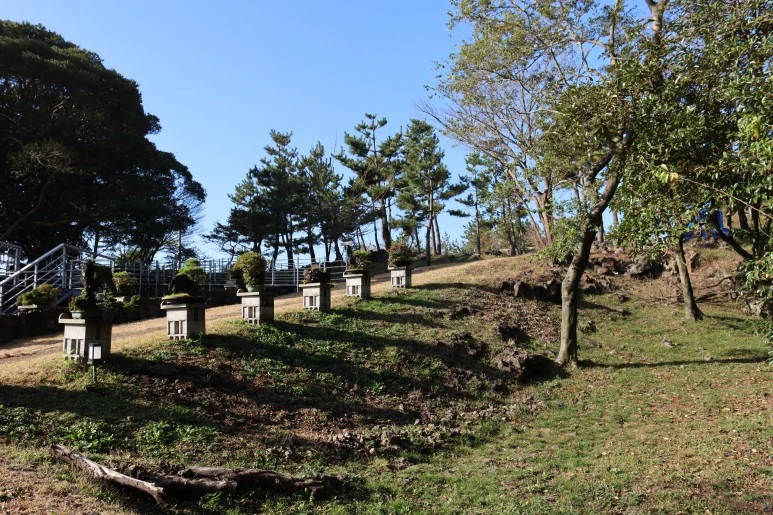 IMG_4245.JPG?type=w773