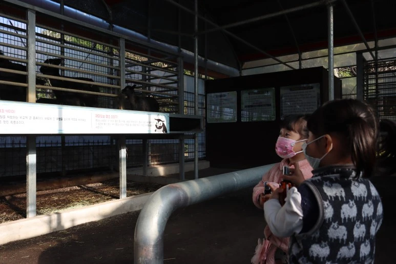 IMG_4204.JPG?type=w773