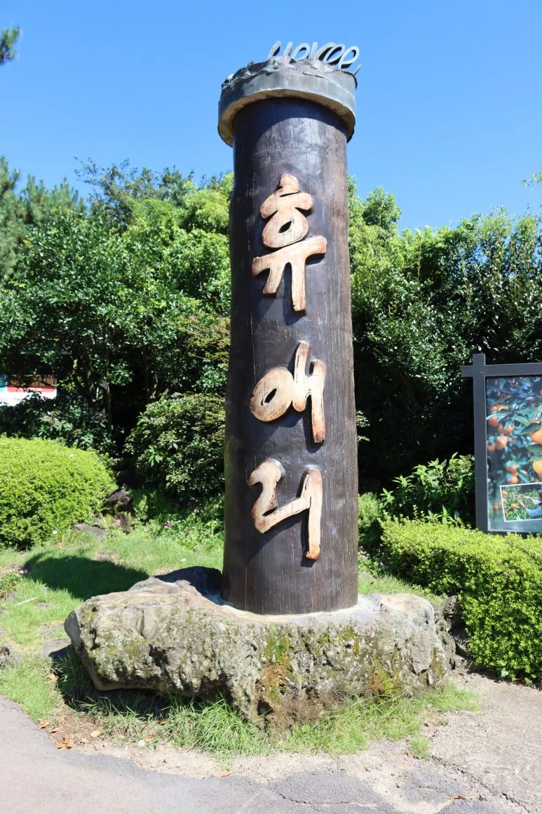 IMG_3527.JPG?type=w773