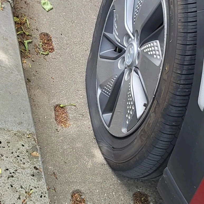 IMG%EF%BC%BF20220428%EF%BC%BF173745%EF%BC%BF049.jpg?type=w773