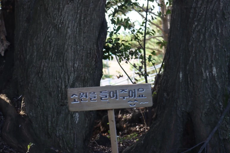 IMG_4256.JPG?type=w773