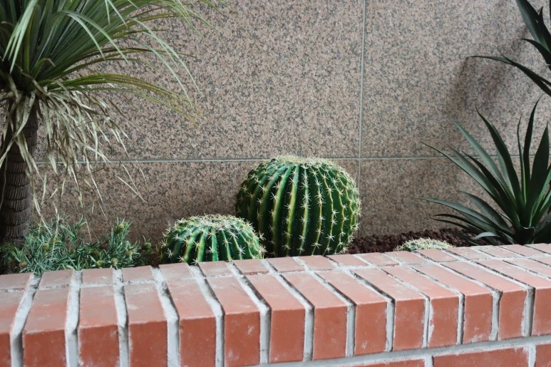 IMG_3857.JPG?type=w773