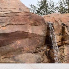 IMG_8079.jpg?type=w275