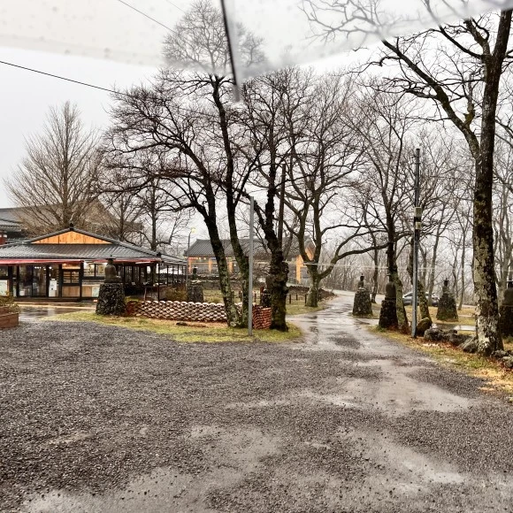 IMG_5434.jpeg?type=w580