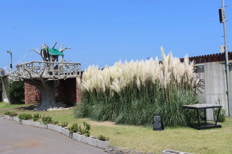 IMG_3725.JPG?type=w773