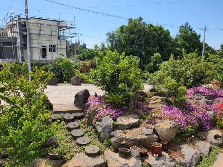 1591692653186.jpg?type=w773