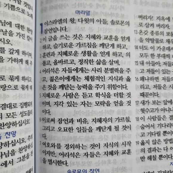 20230426%EF%BC%BF074817.jpg?type=w580