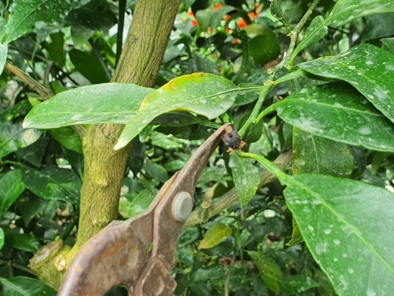 1591692659394.jpg?type=w773