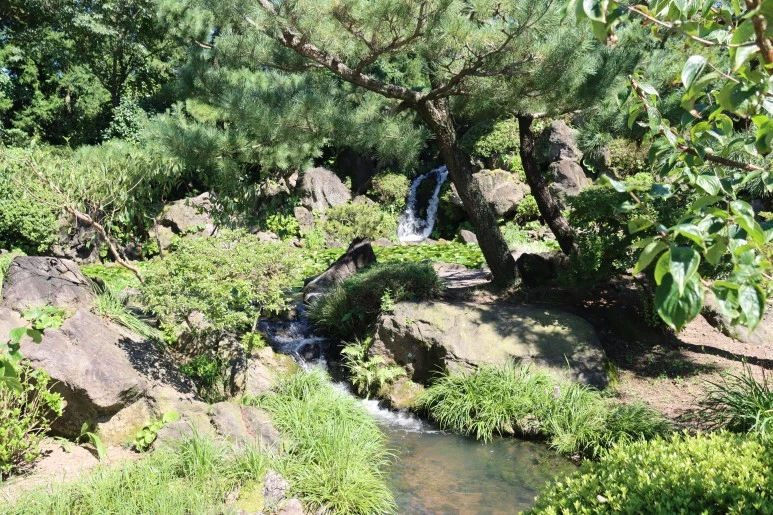 IMG_3546.JPG?type=w773