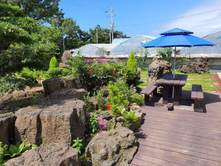 1591692654472.jpg?type=w773