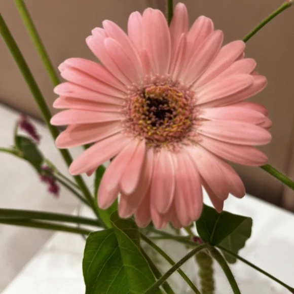 IMG_4208.jpg?type=w580