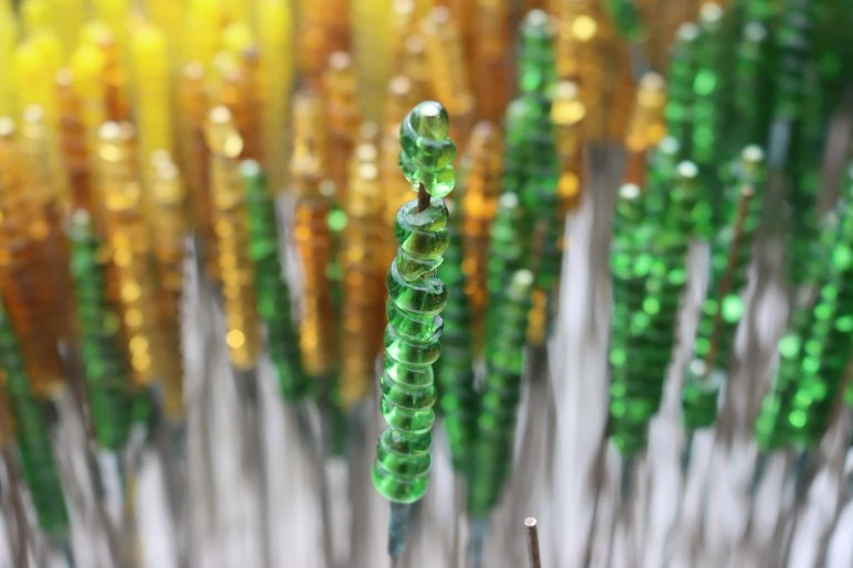 IMG_0669.JPG?type=w773