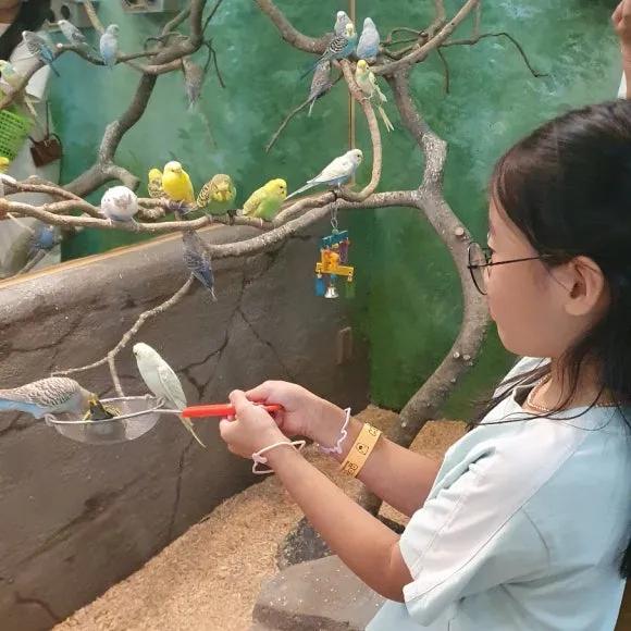 SE-29b49e33-2889-4e7e-8979-549f08ccfce5.jpg?type=w580