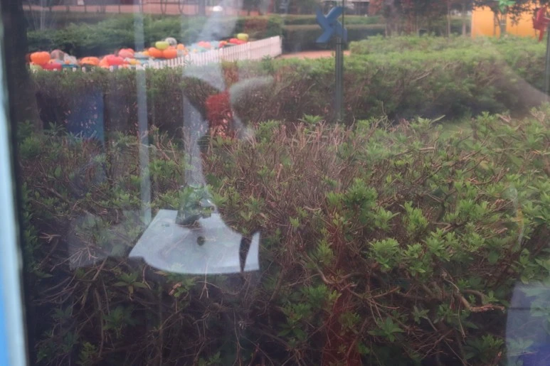 IMG_0855.JPG?type=w773