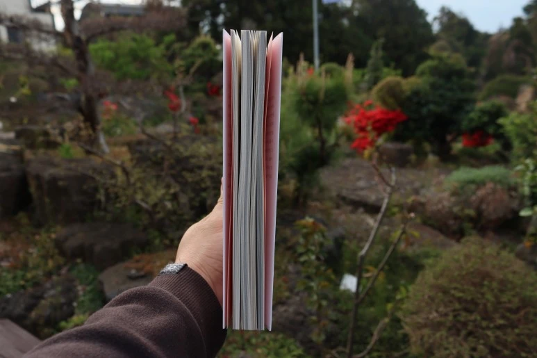 IMG_6256.JPG?type=w773