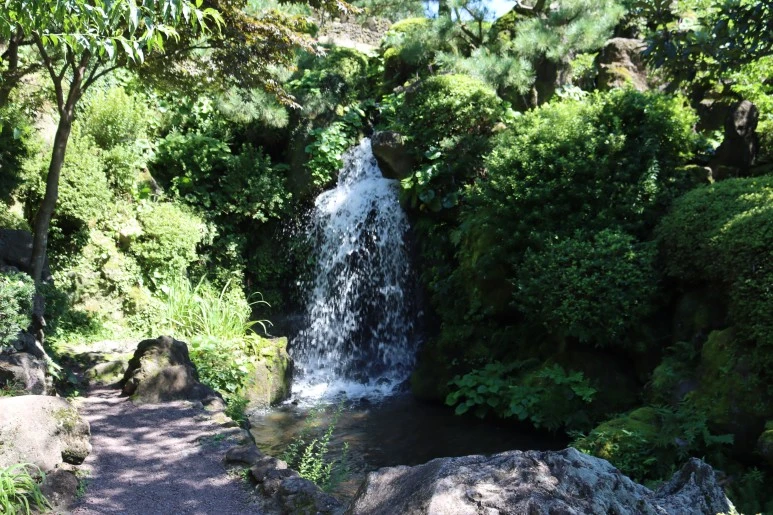 IMG_3531.JPG?type=w773