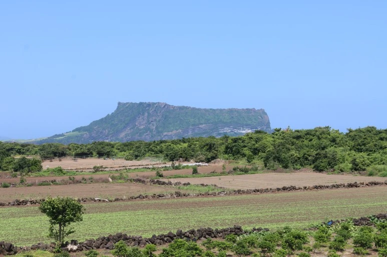 IMG_3808.JPG?type=w773