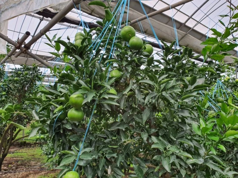 1600923188040.jpg?type=w773