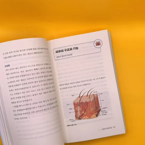 IMG%EF%BC%BF9220.jpg?type=w580