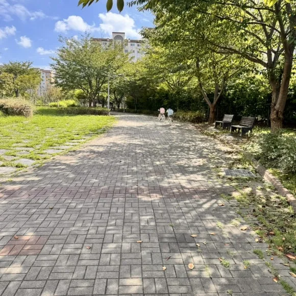 IMG_6939.jpg?type=w580