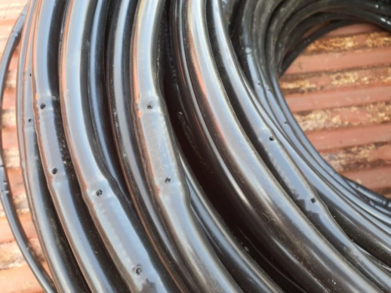 20201120%EF%BC%BF091056.jpg?type=w773